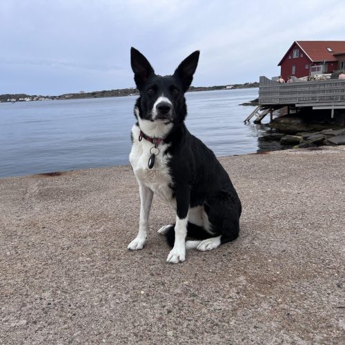 5424D67C-0C8E-456B-A41A-B29F9E4F1ABA